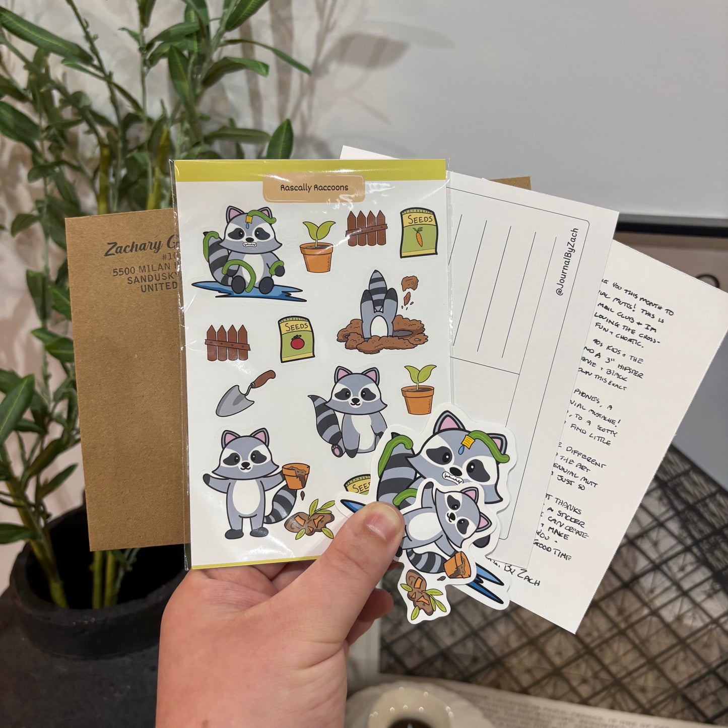 May Sticker Club | Rascally Raccoons