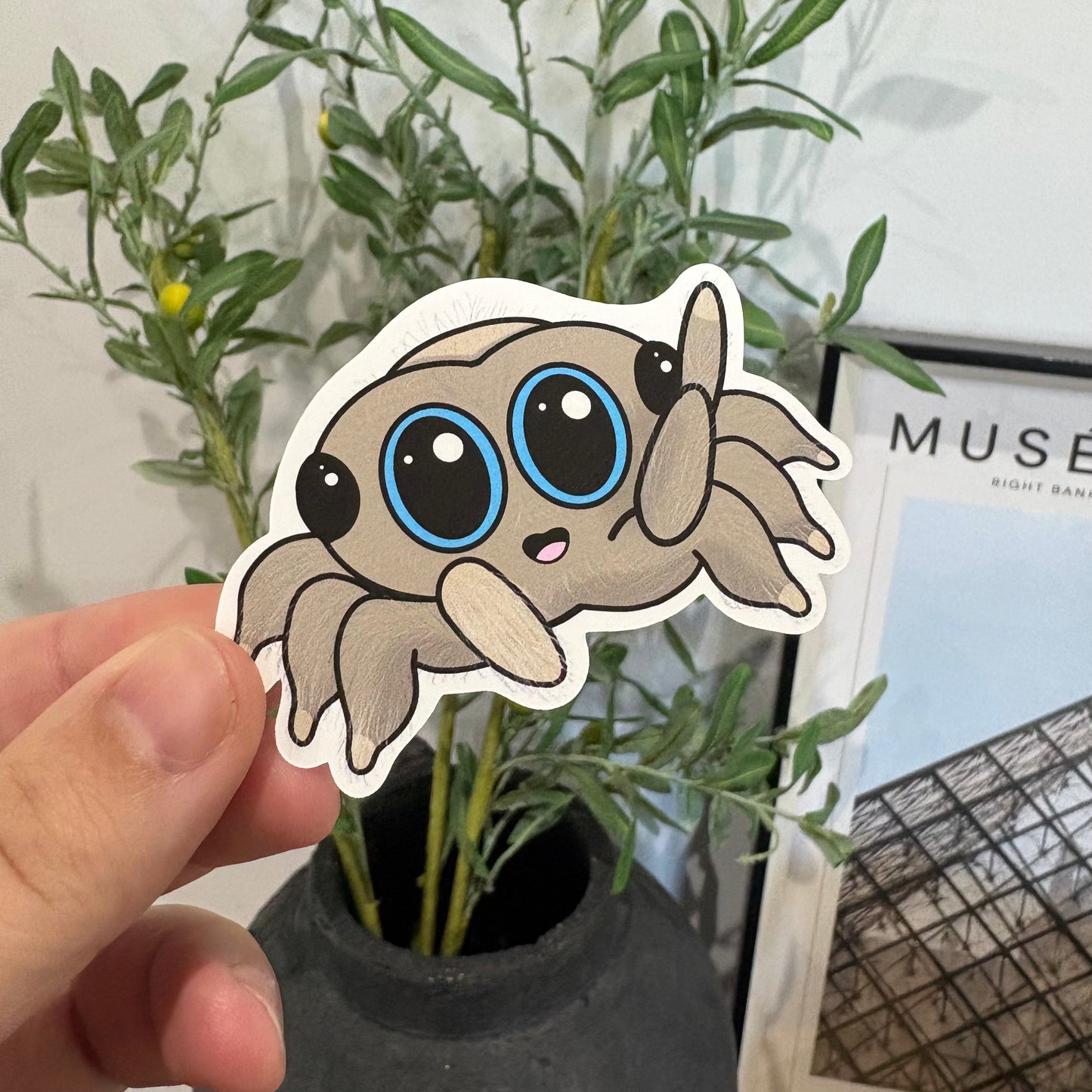 Jumping Spider Says Hi | Single Vinyl Sticker