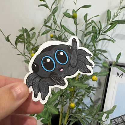 Jumping Spider Says Hi | Single Vinyl Sticker